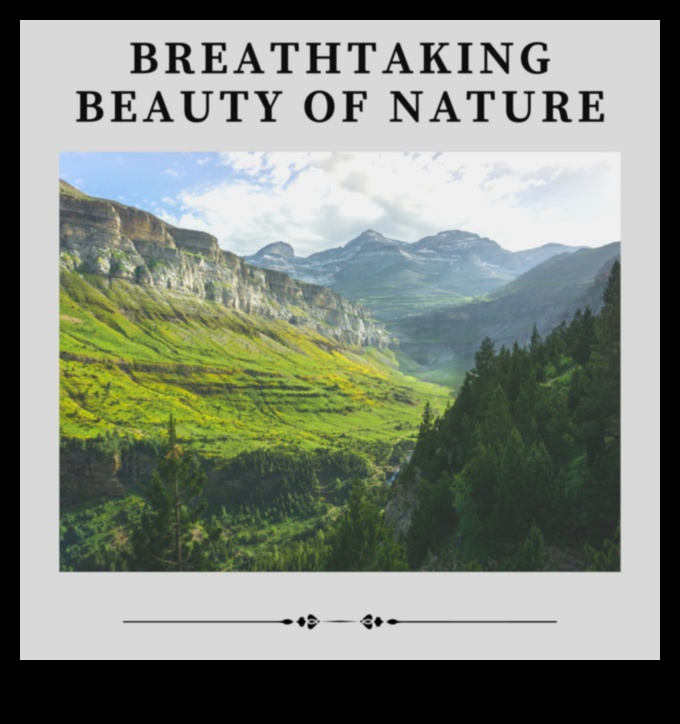 Zemes elegance: elpu aizraujošas ainavas katrā kadrā