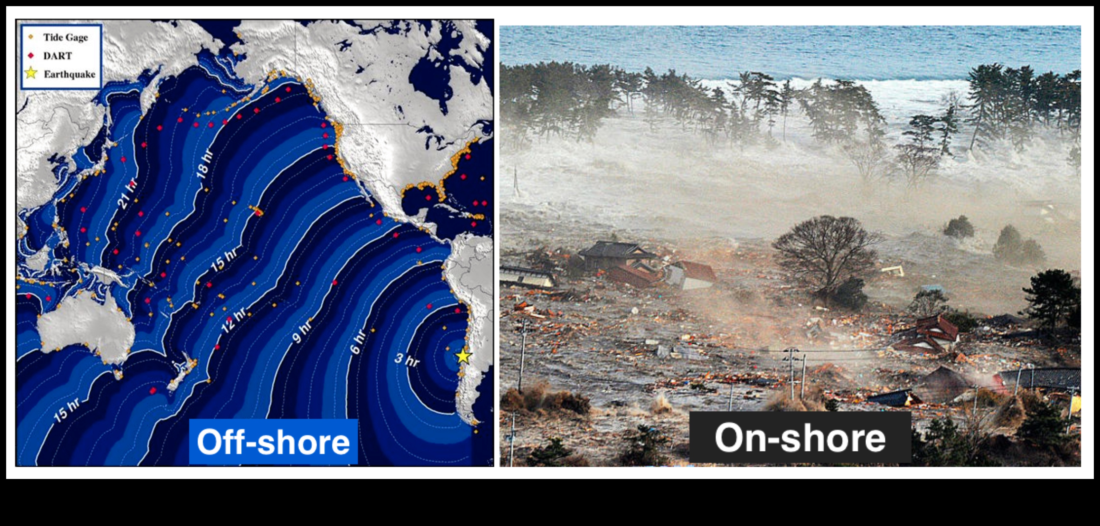 Vīrusu viļņi: koplietojamo digitālo fenomenu cunami pārvarēšana