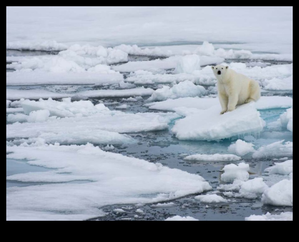 Arctic A Climate Change Frontline 5 Ar kādām vides problēmām saskaras Arktikas ainavas?