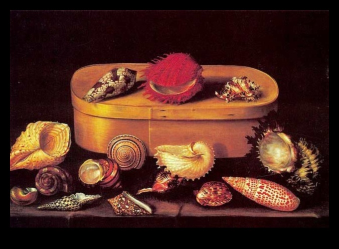 Atpūtas objekti: klusās dabas pasaules izpēte