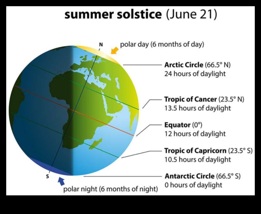 Vasaras saulgrieži Gada garākā diena 5 Starojošas vasaras: aptverot sezonas siltumu