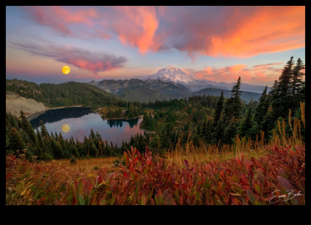 Ekspresīva ainavu fotogrāfija, tverot dabas skaistumu 5 Sapņu audekls: izteiksmīga ainavu fotogrāfija, kas iedvesmo