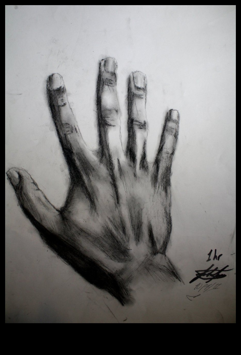 Ogles skaistums: mūžīgu un elegantu ainu veidošana