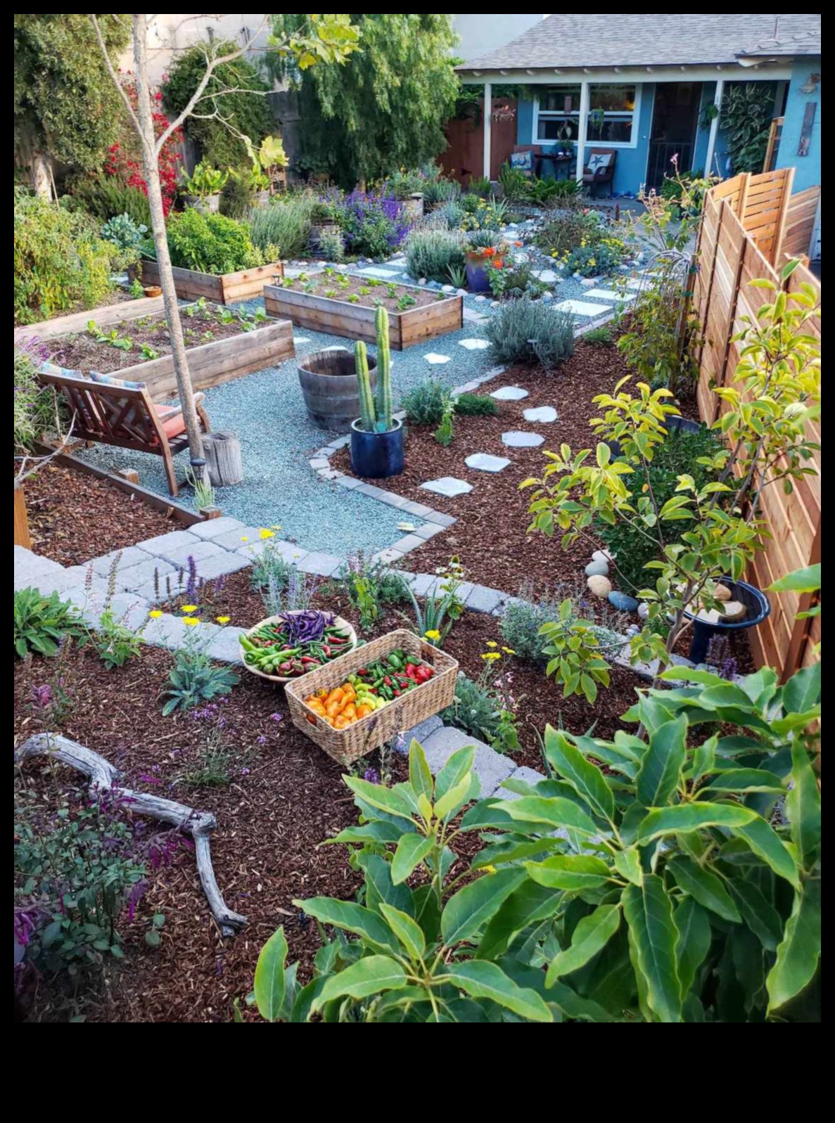 Whimsy in Bloom 50+ jautri un unikāli dārza projekti, ko izmēģināt, 5 Savvaļas ziedēšana: jautri un unikāli dārza pasākumi, kas saistīti ar pašu darīšanu