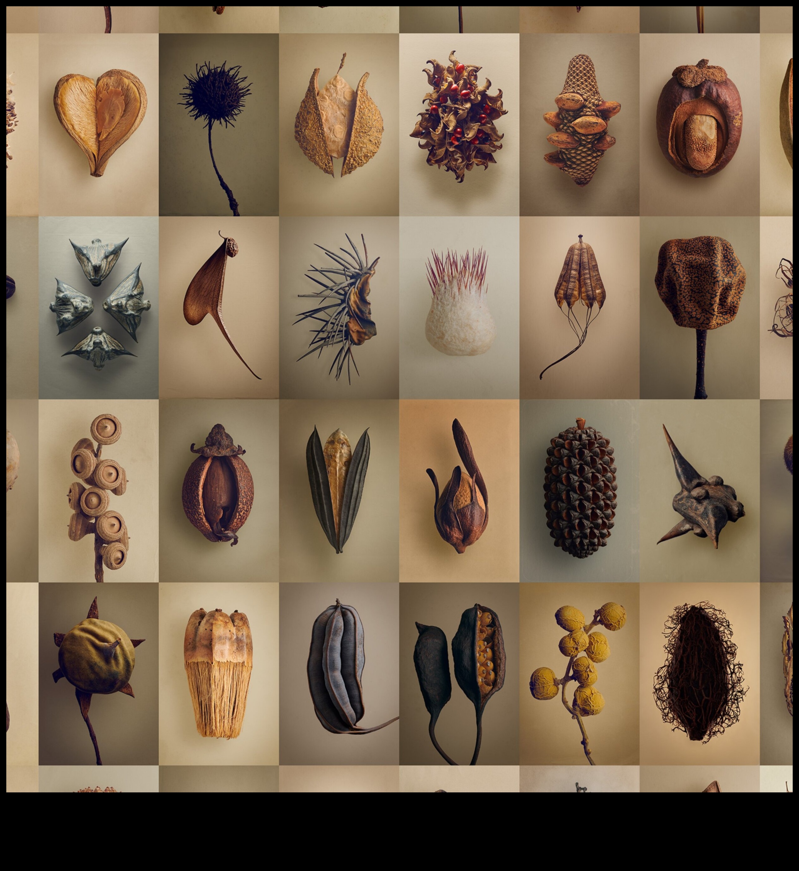 Dabas palete: Floras un faunas tveršana ar marķieru krāsām