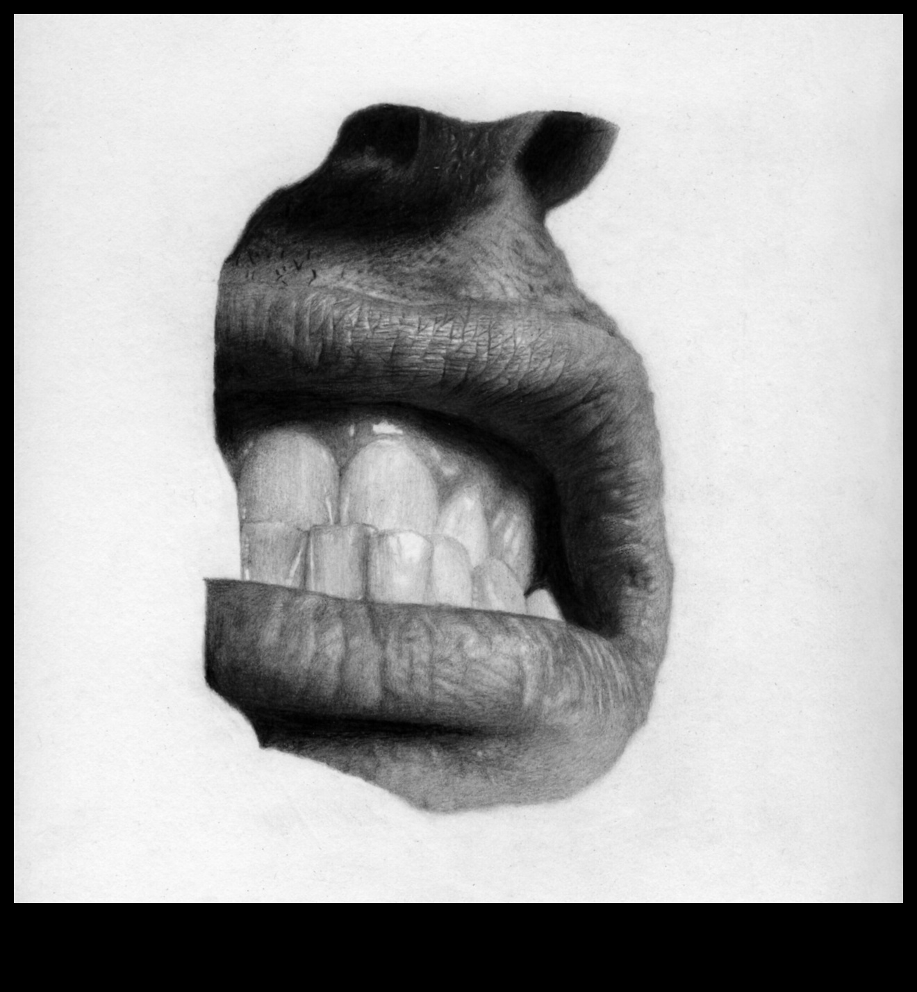 Zīmuļu skicēšanas māksla 4 Zīmuļu skicēšanas pamati: grafīta pamatu apguve