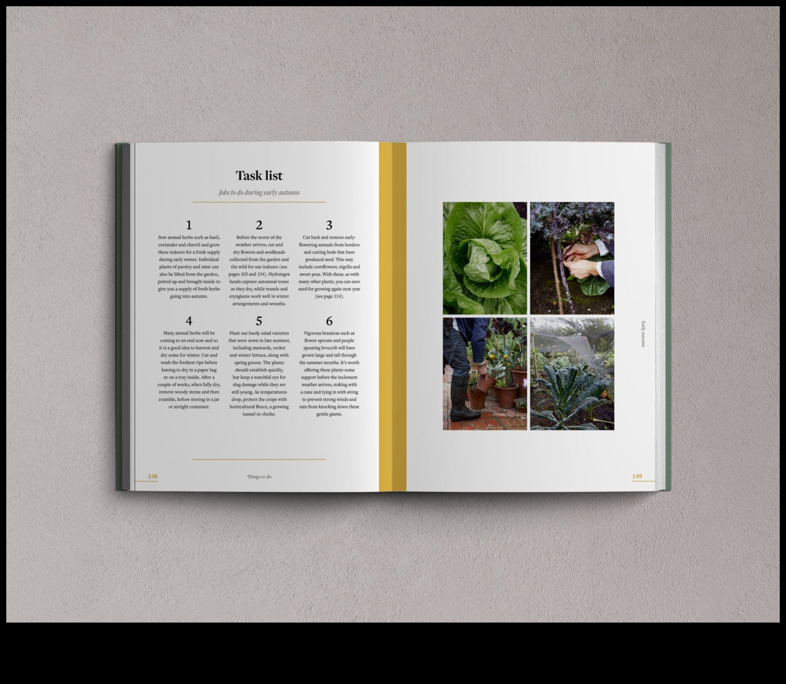 Sēj, audzē, mirdz: ideāla dārza projekta izstrāde