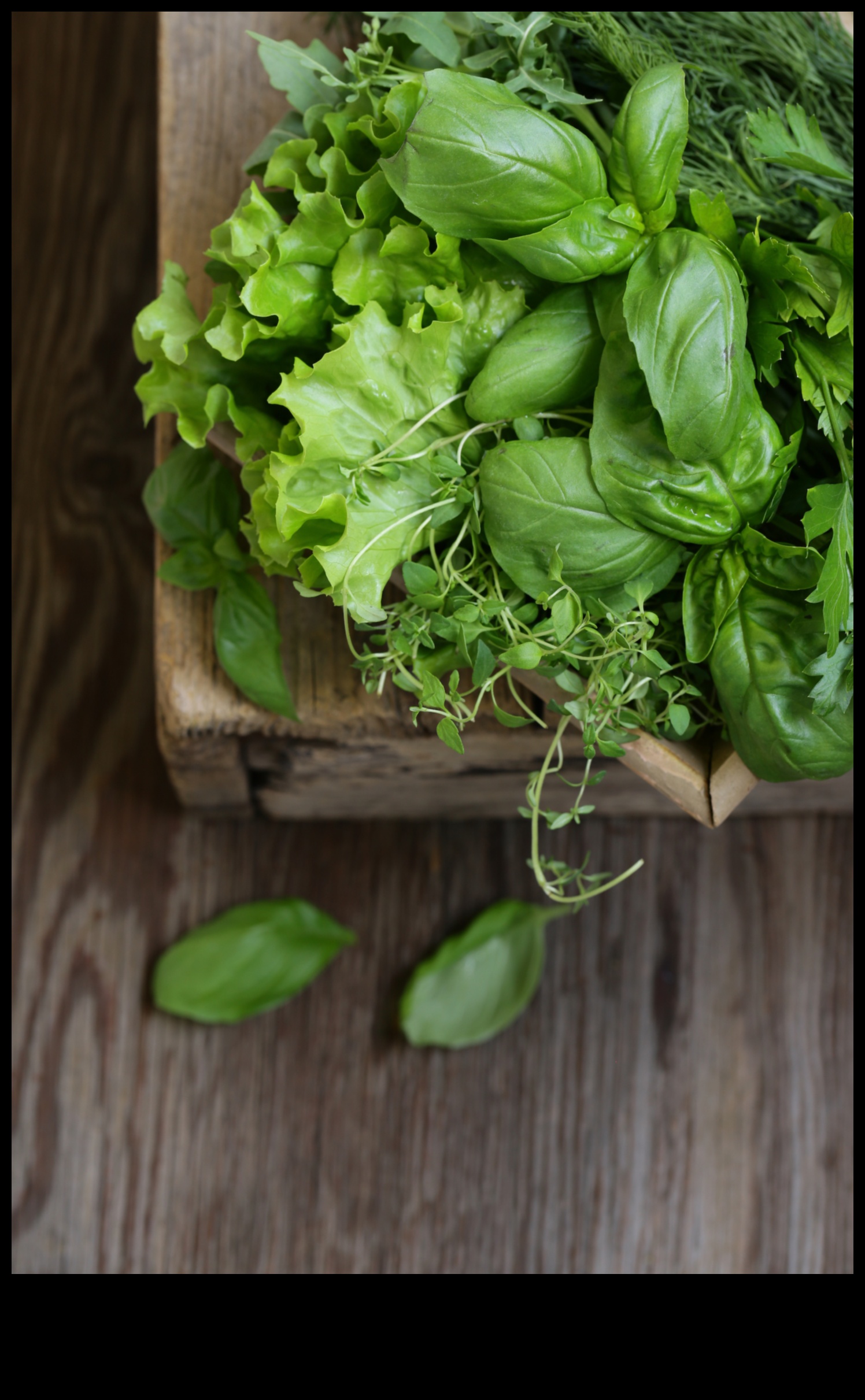 Zaļā gastronomija: veģetāras dzīves prieku atraisīšana