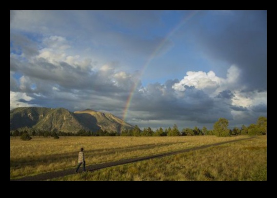 Dramatiski skati: pārsteidzošas ainavas katrā kadrā