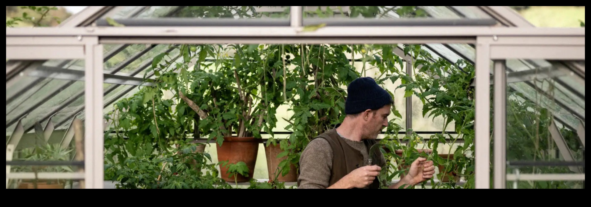 Sēj, zied, plaukst, kā siltumnīcas var palīdzēt attīstīt jūsu biznesu 4 Sēj, zied, plaukst: siltumnīcas priekšrocības