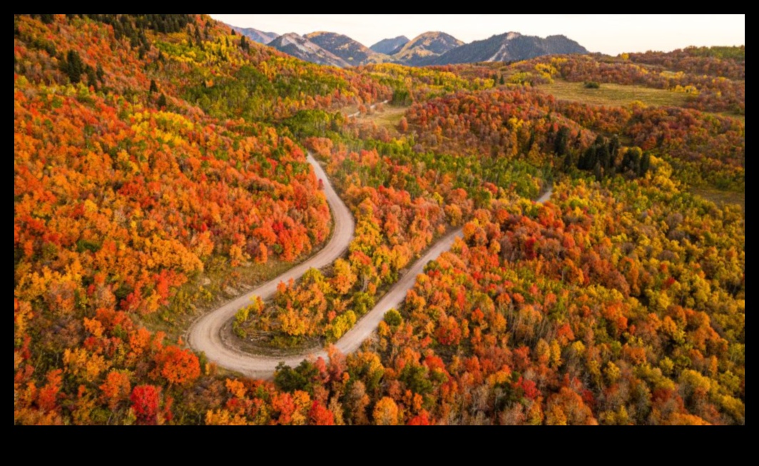 Rudens palete: tīksmināties par rudens krāsām