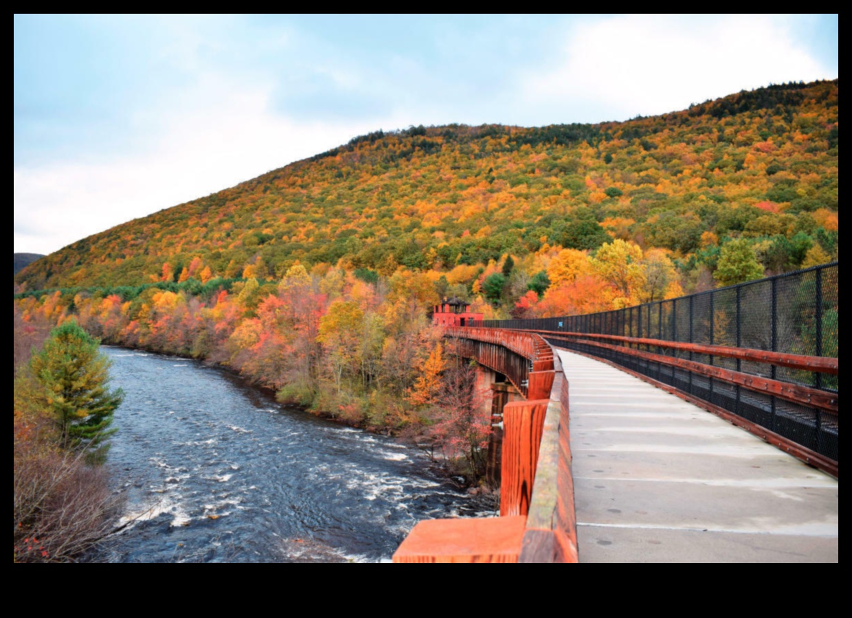 Rudens palete: tīksmināties par rudens krāsām