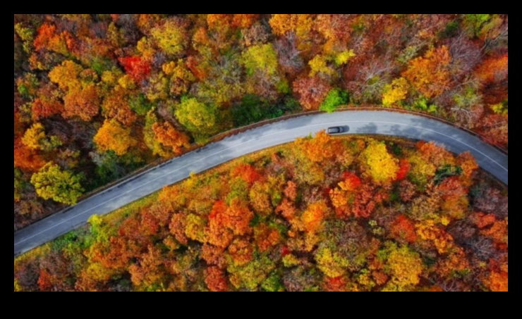Rudens palete: tīksmināties par rudens krāsām