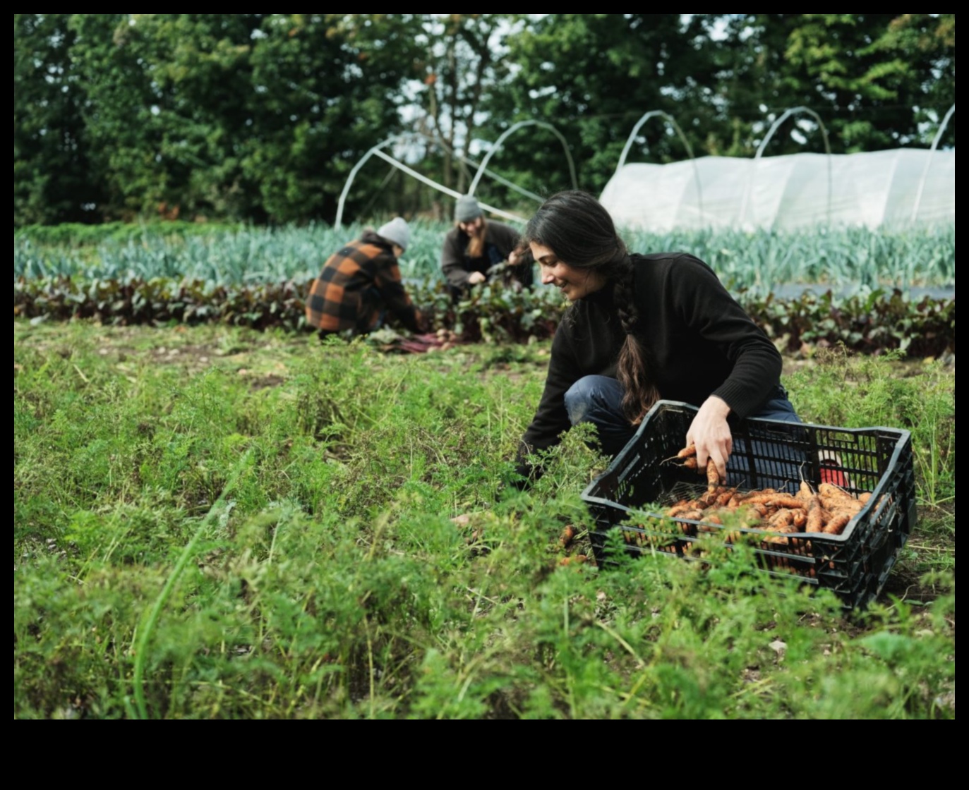 Ražas novākšanas zināšanas: pievienojieties dārza darbnīcu kustībai