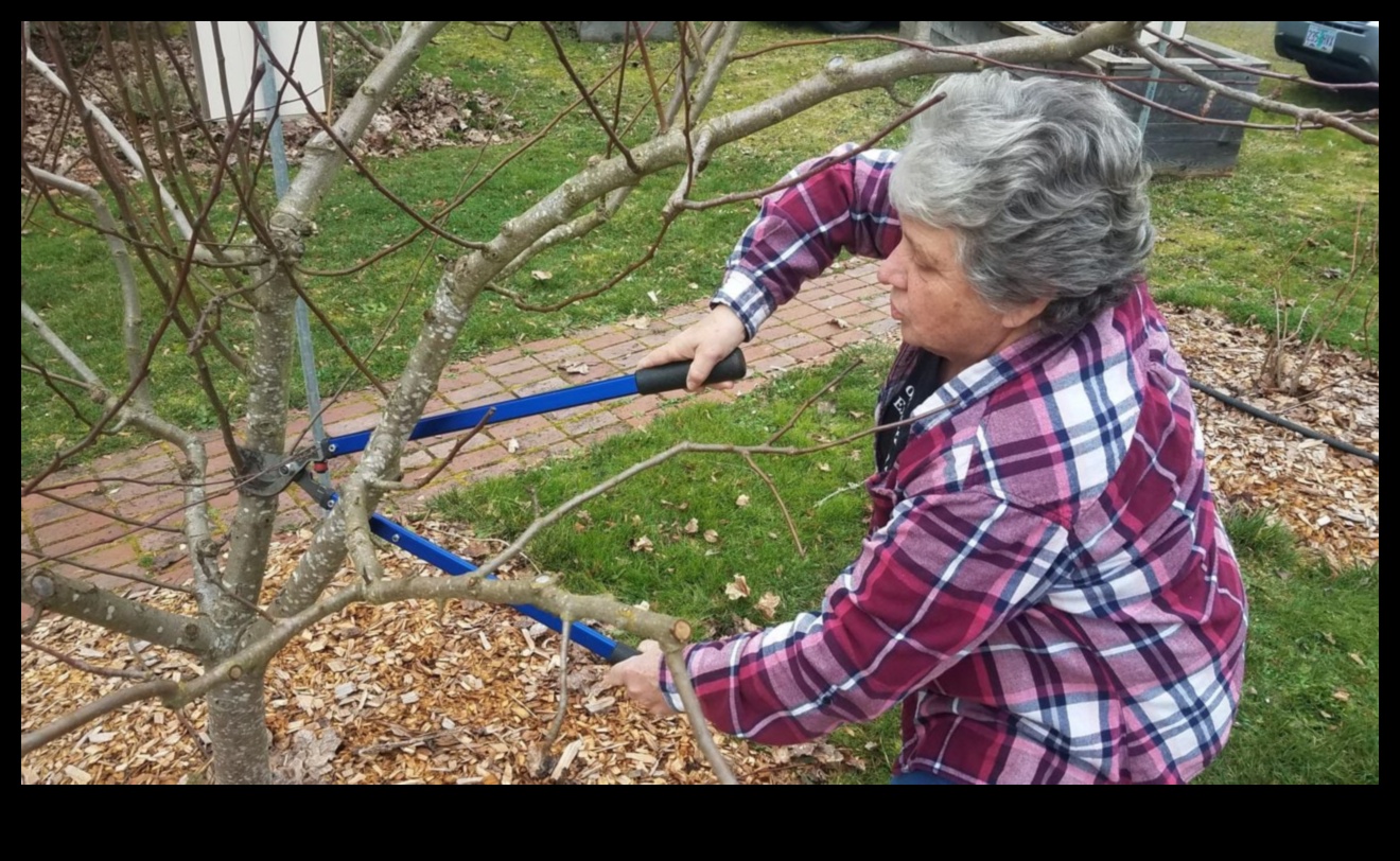 Ražas novākšanas zināšanas: pievienojieties dārza darbnīcu kustībai