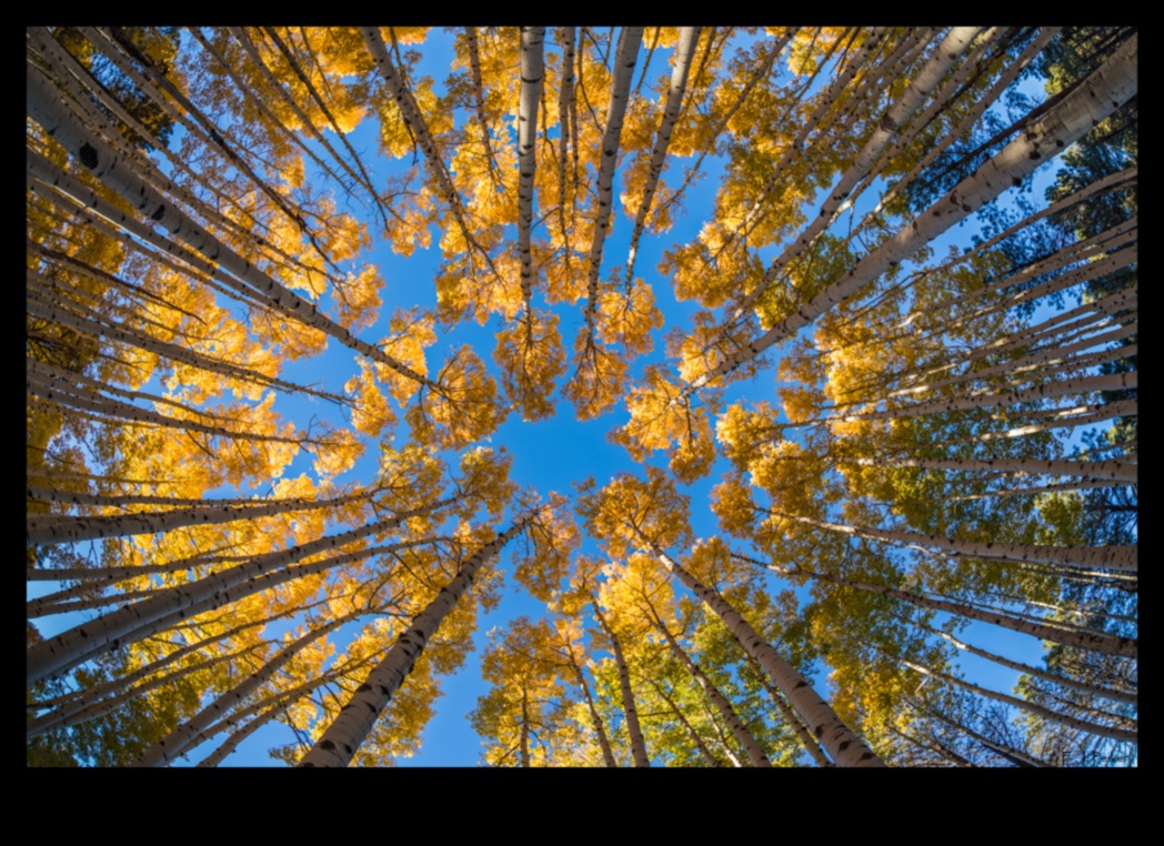 Abstraktās realitātes: izkropļotas perspektīvas ainavu mākslā