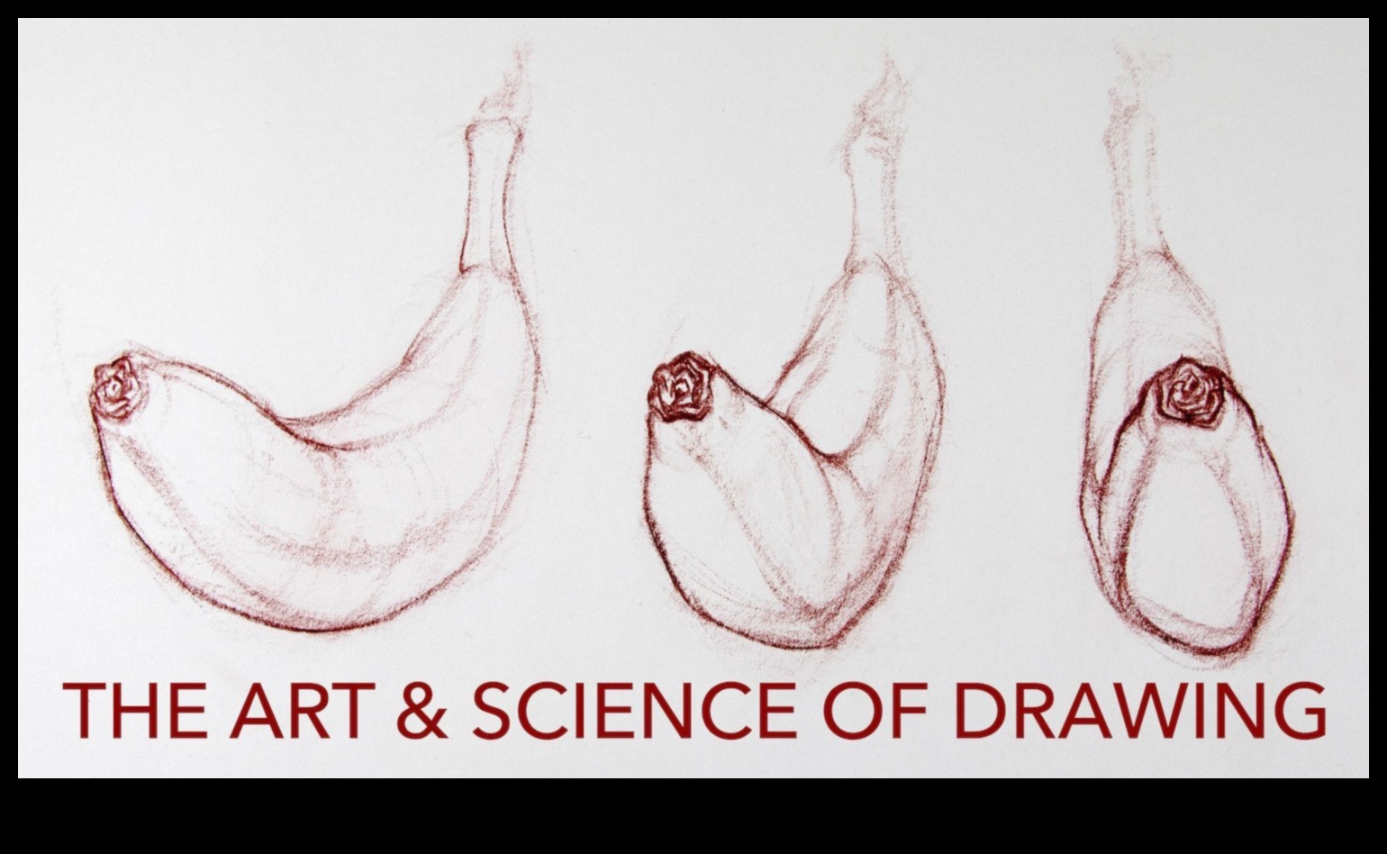 Izskaidrošanas māksla: skaidrības radīšana zinātniskos zīmējumos