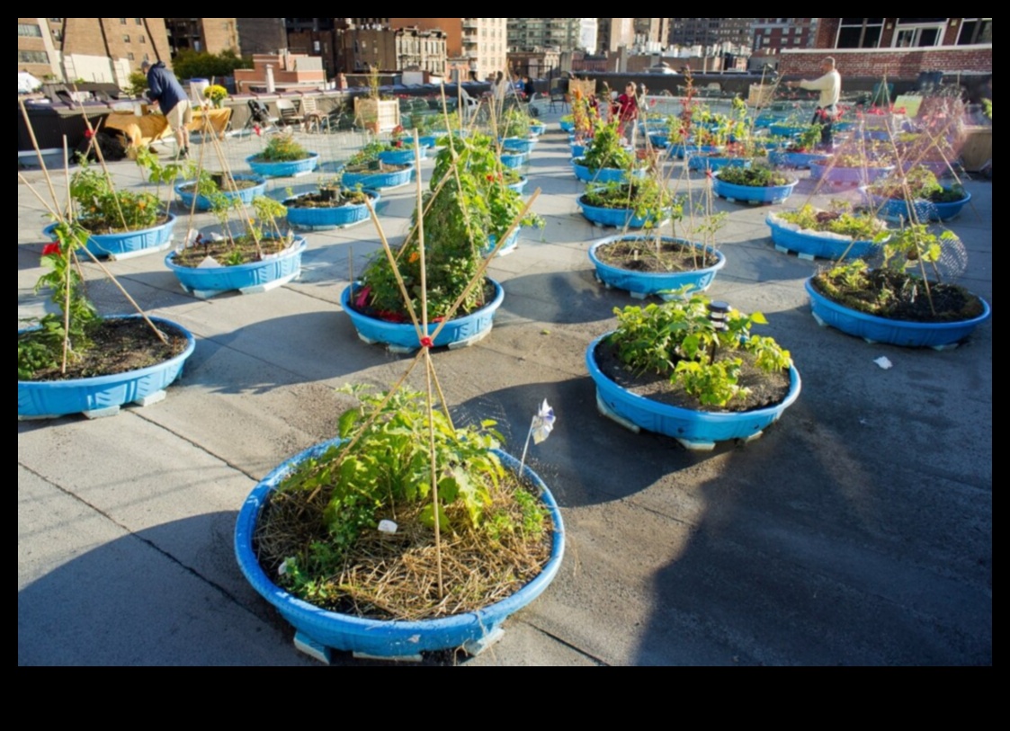 Kā izaudzēt savu pārtiku pilsētā Urban Green Revolution dārzkopības padomi 3 Pilsētas zaļā revolūcija: dārzkopības padomi pilsētai