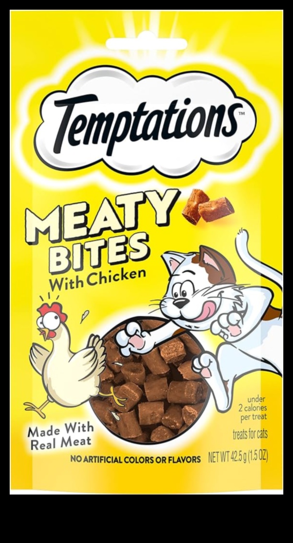 Tiny Temptations uzkodas, kurās ir daudz garšas 4 Nelieli kārdinājumi: uzkodas, kas sniedz daudz garšas