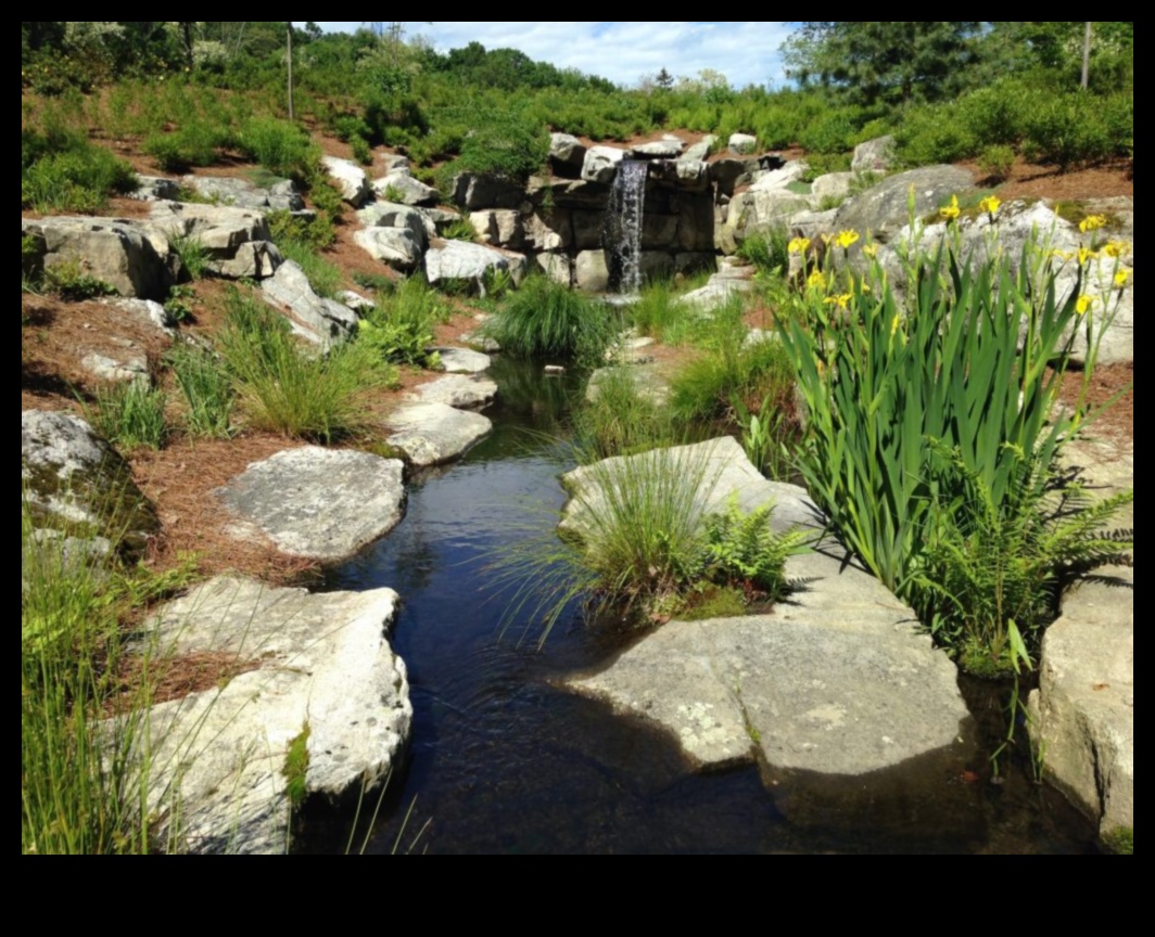 Dzīvības plūsmu plūsma un to nozīme 4 Rivulets III ritmi: straumes un līči, kas atkal plūst pa dažādām ainavām