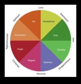 Emociju prizma: jūtu nodošana, izmantojot krāsainu mākslu