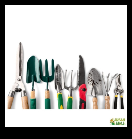 Dabas kopšana: atklāti obligātie dārza instrumenti