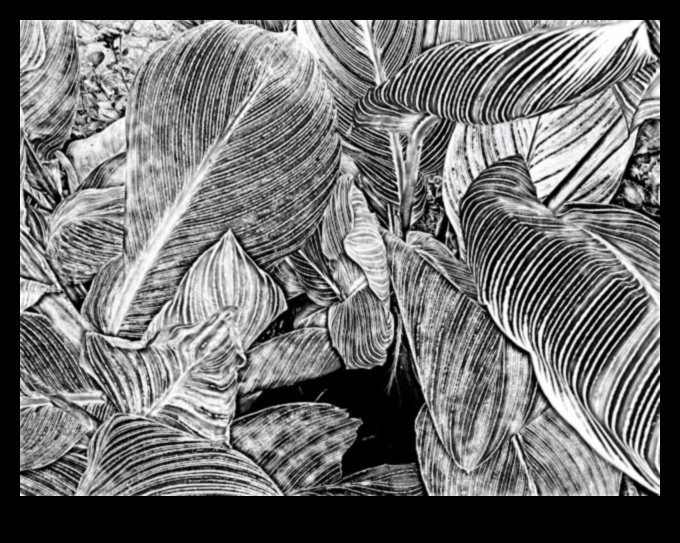 Ritmiskās līnijas, kas rada plūsmu abstraktos zīmējumos 4 Ritmiskās līnijas: plūsmas veidošana abstraktos zīmējumos