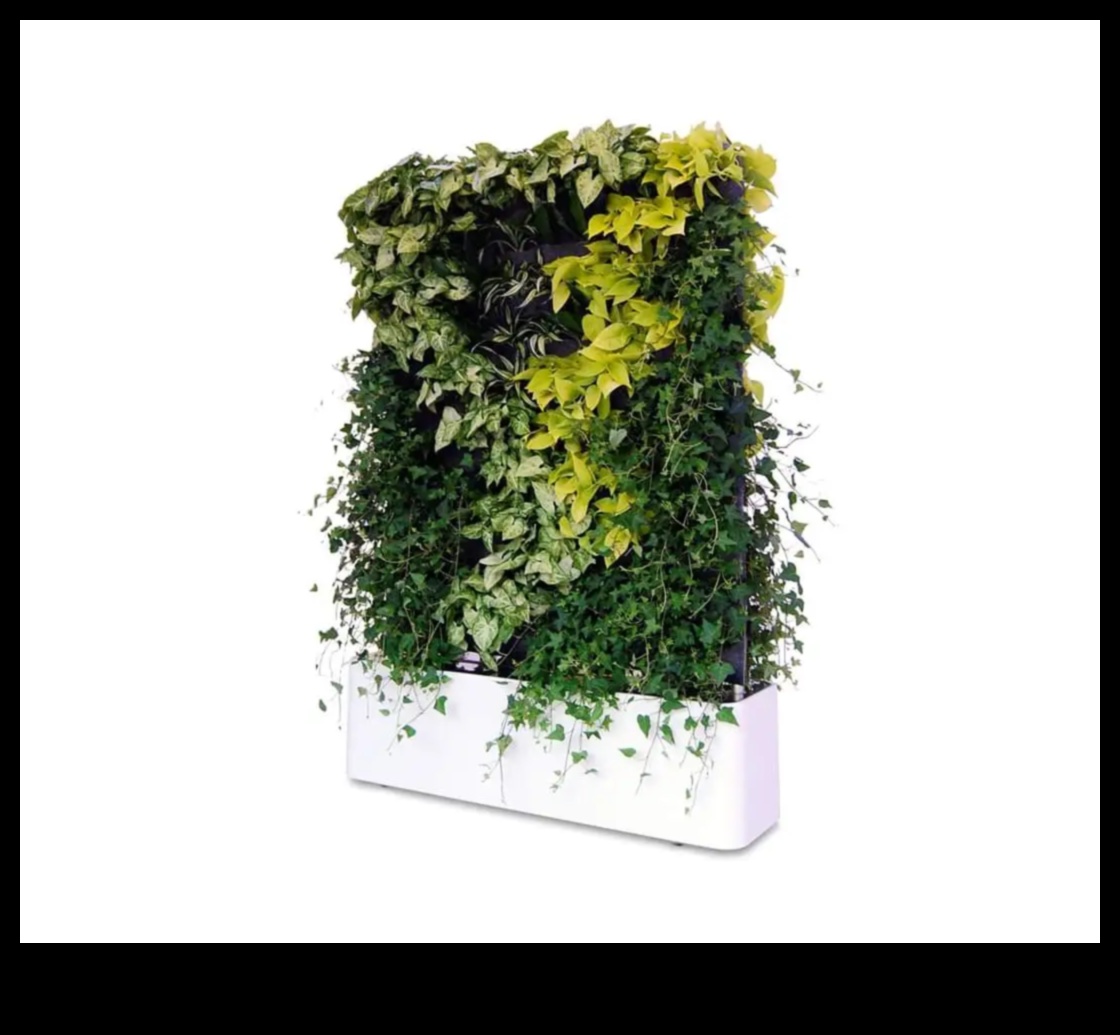 Tall Tales of Greenery: Vertical Garden Adventures