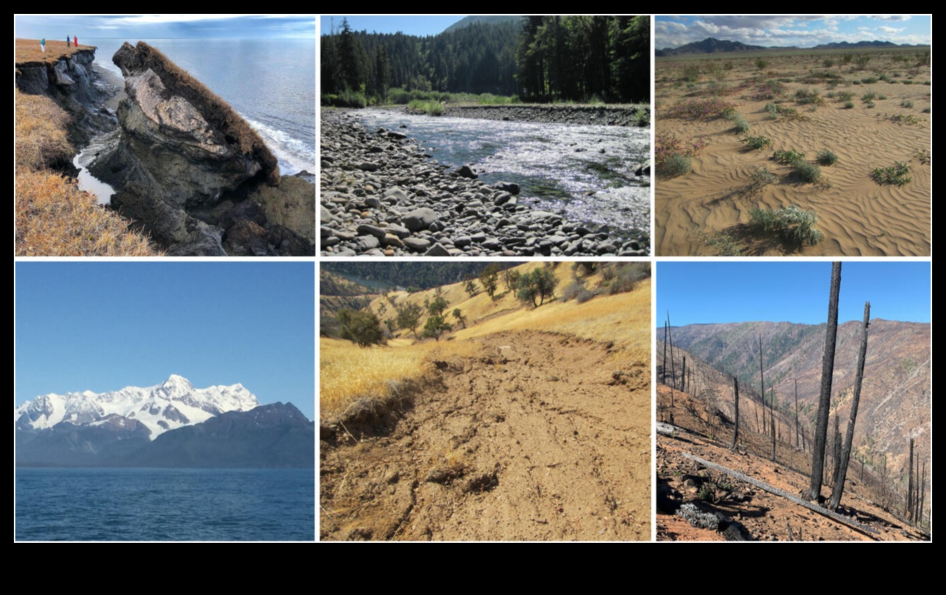 Klimats un ainavas: pielāgošanās mainīgajai pasaulei