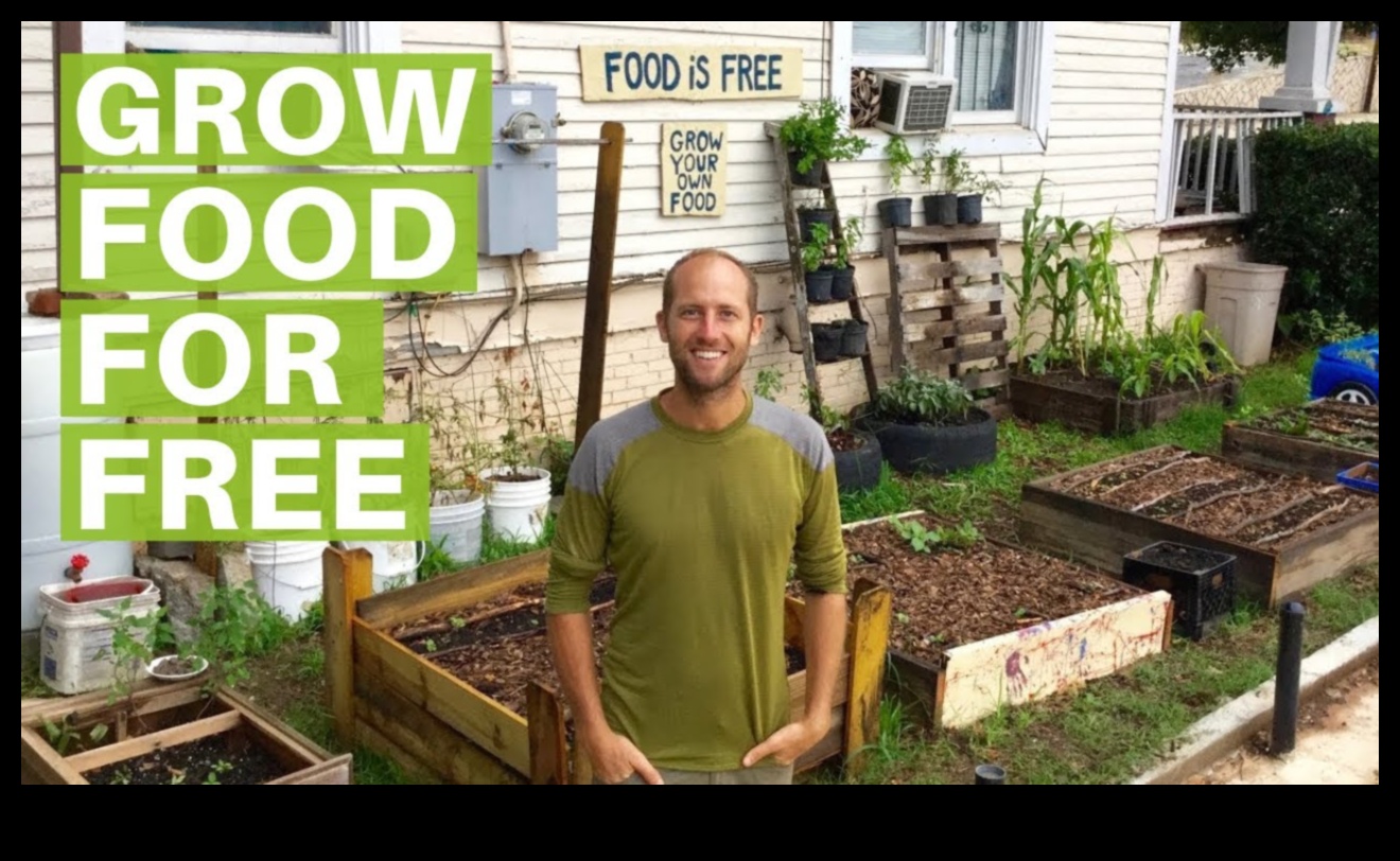 Kabatas izmēra paradīze: vienkāršota pilsētas dārzkopība