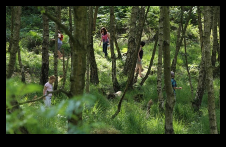 Dabas orķestris 4 Dabas simfonija: harmonisku ainavu tveršana pikseļos
