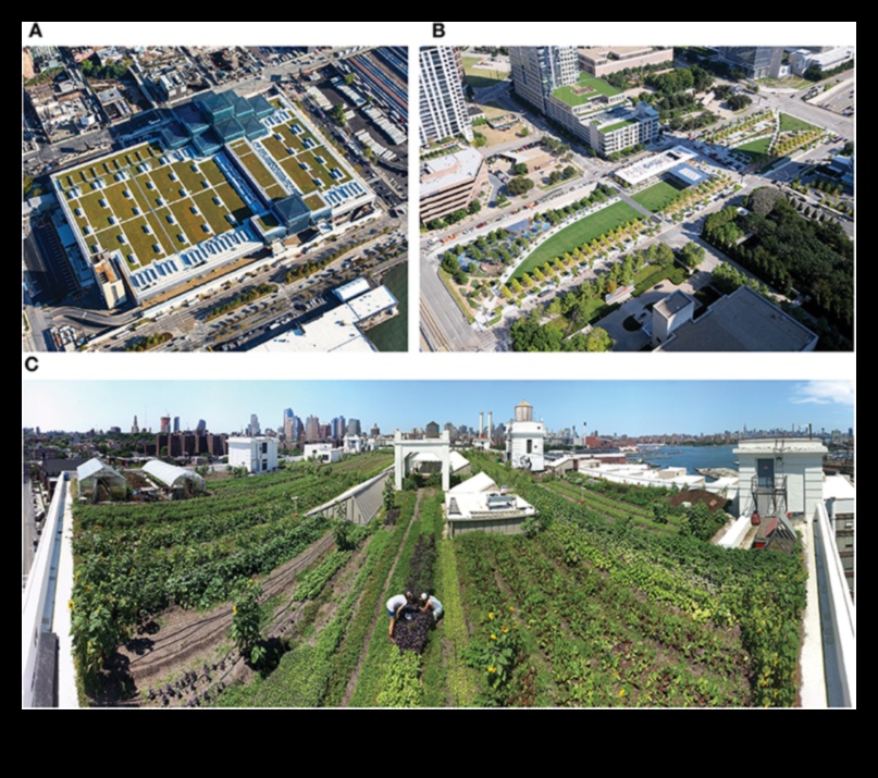 Sky Gardens: jumta bēgšana panorāmā