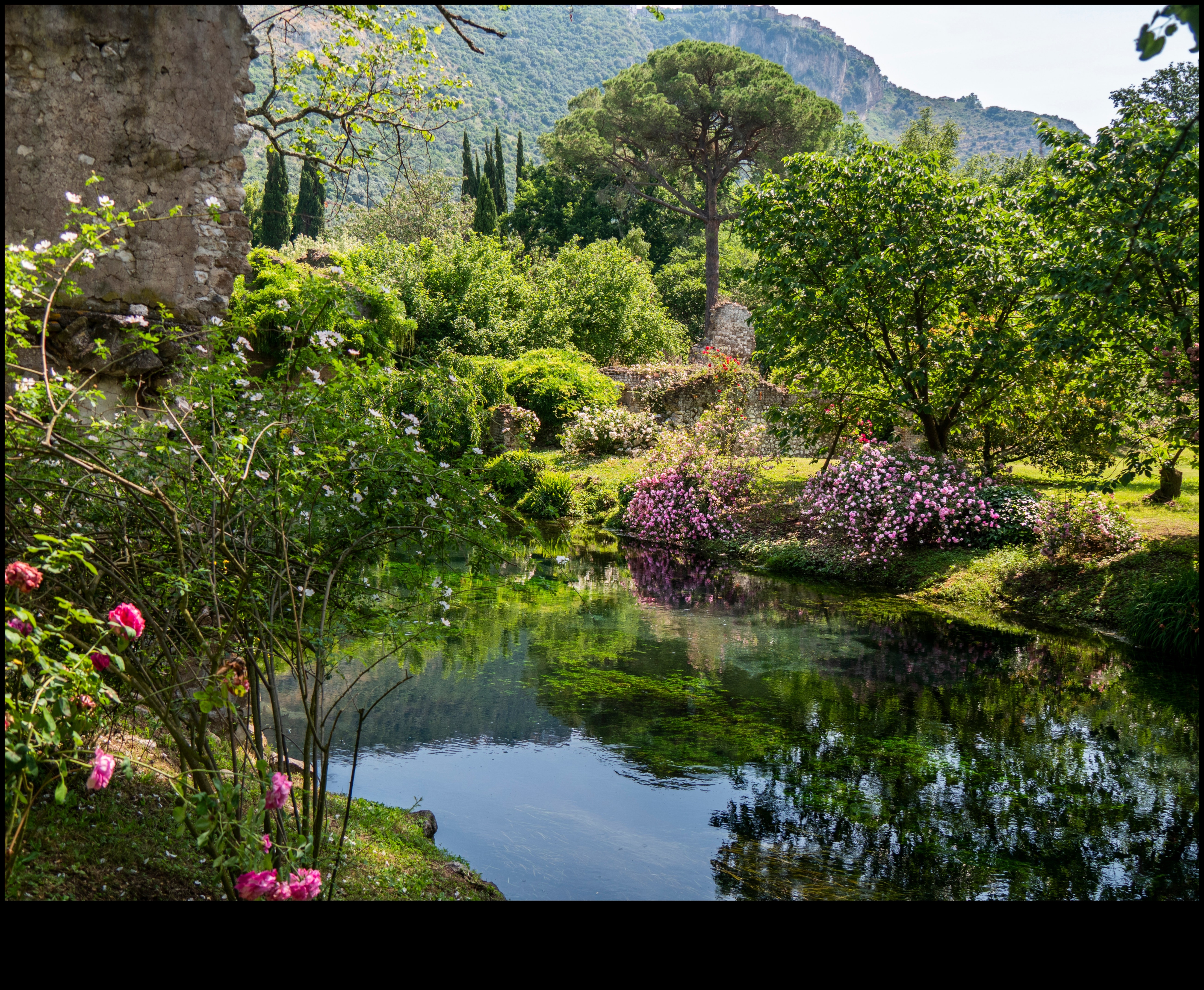Garden Muse: valdzinoša māksla, lai iedvesmotu jūsu brīvdabas patvērumu