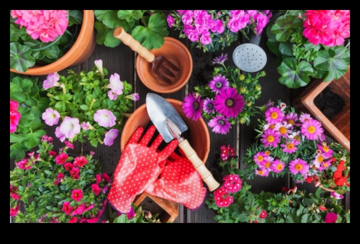 Ziedu fantāzija: uzlabojiet savu dārzu ar labākajiem instrumentiem