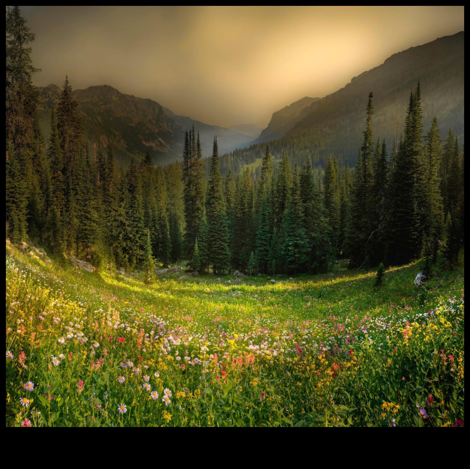 Samita Serenity: kalnu ainavu mierīguma izpēte