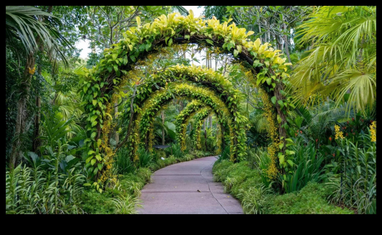 Botāniskā svētlaime Atklājiet dārza dizaina brīnumus 2 Botāniskā svētlaime: atklāti dārza dizaina brīnumi