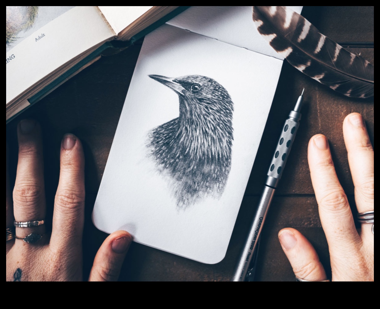 Zīmēšana ar precizitāti: smalkas grafīta detaļas