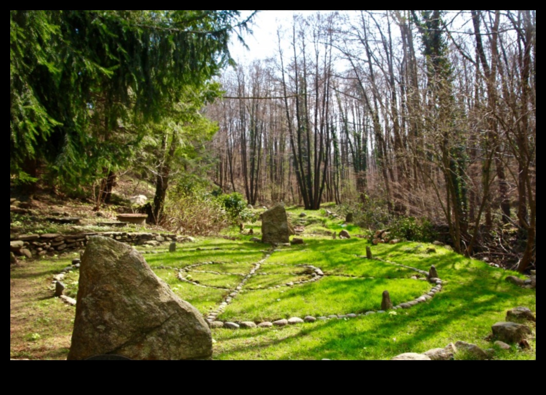 Patvērums dabā: izpētīti ekoloģiskie rezervāti