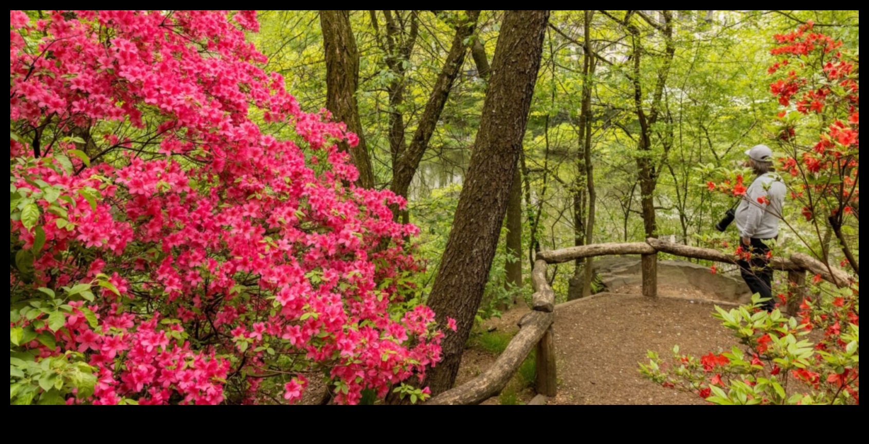 Patvērums dabā: izpētīti ekoloģiskie rezervāti