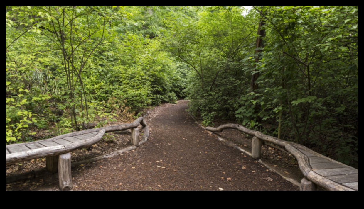 Patvērums dabā: izpētīti ekoloģiskie rezervāti