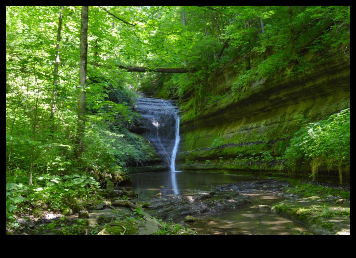 Patvērums dabā: izpētīti ekoloģiskie rezervāti