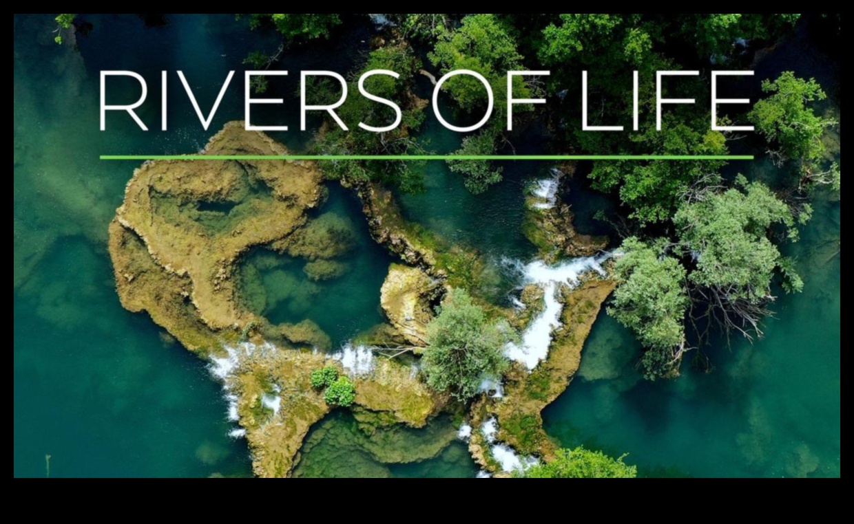 River Chronicles: Navigācija straumju un upju skaistumā