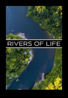 River Chronicles: Navigācija straumju un upju skaistumā