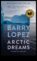 Arctic Dreams Polāro ainavu klusais fantastiskā lieta