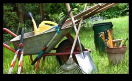 Blossom Brilliance — 5 obligātie dārza aprīkojums katram dārzniekam