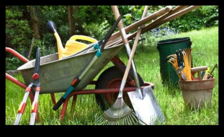 Blossom Brilliance — 5 obligātie dārza aprīkojums katram dārzniekam