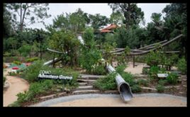 Botāniskā dārza dabas rotaļu telpa