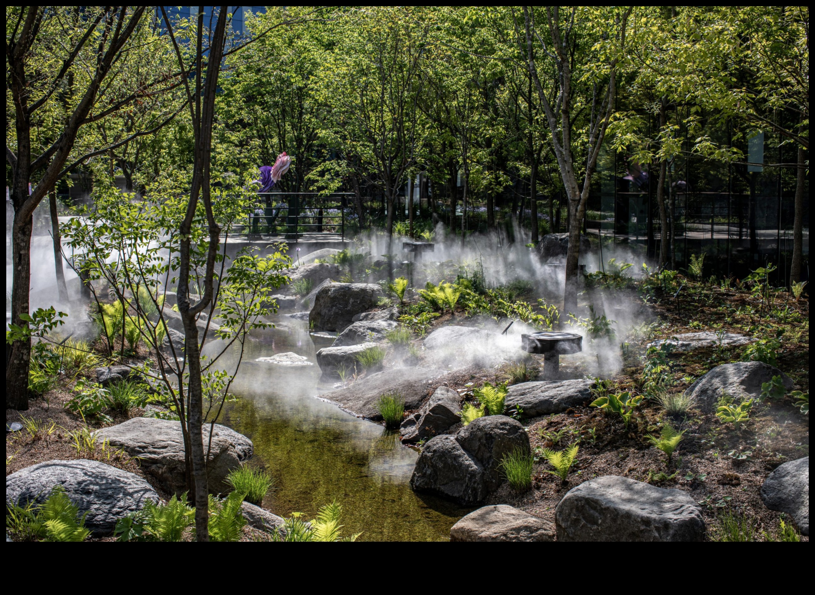 Dabas galerija Ienes āra skaistumu iekšā ar dārza mākslu 2 Dabas galerija: uzlabojiet savu telpu ar dārza mākslu