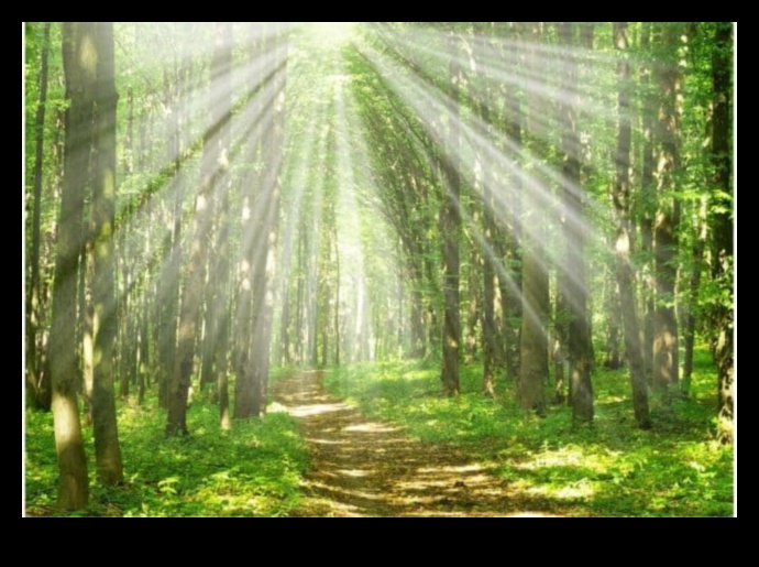 Patvērums dabā: izpētīti ekoloģiskie rezervāti