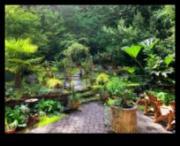 Dārza darbnīca Oāze Vieta, kurā pilnveidot spējas un brīnišķīgā lieta par